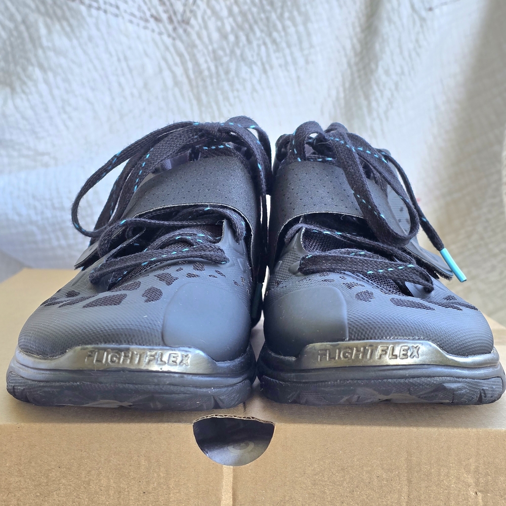 Jordan Flight Flex Trainer 2